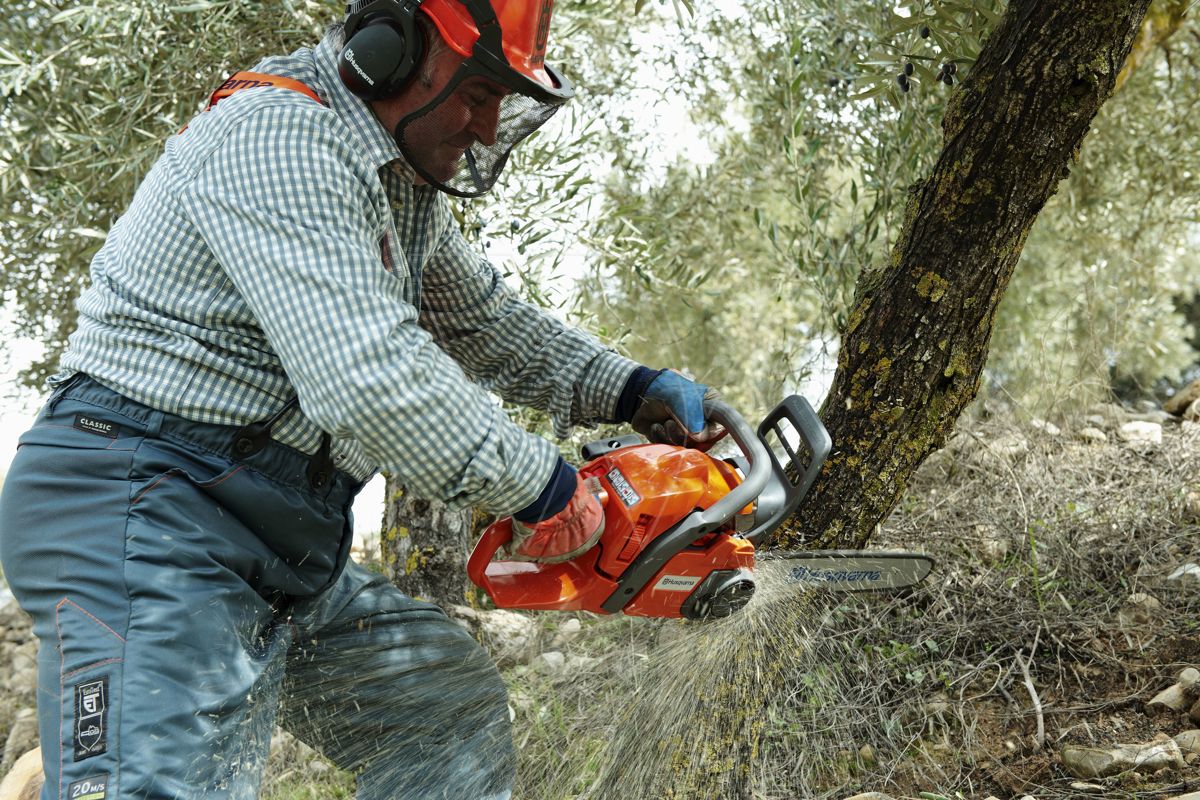 Husqvarna 245 deals chainsaw